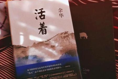 命理师如何解读命运，带你走出困境