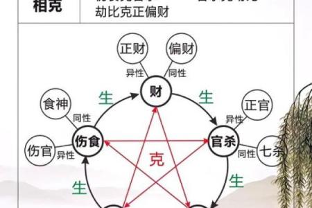 命理揭示娇贵太太的命运密码