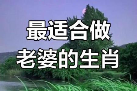 女虎婚姻大揭秘：相配还是不合？