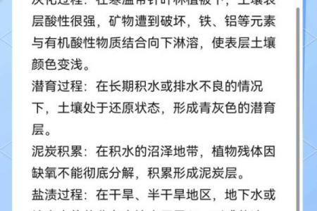 大驿土与壁上土：揭秘神秘土壤的神奇魅力