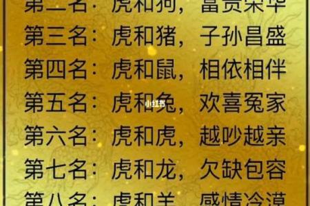 女猪男鸡，姻缘天注定？揭秘属相配对之谜