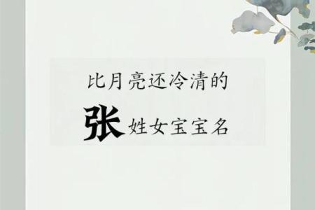 张姓女孩起名大全，取名有这些独特选择