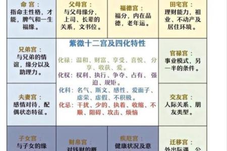 深入解析紫微斗数星曜排盘，掌控命运的关键窍门