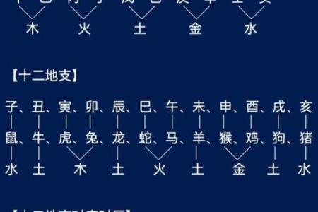 天干墓神与命理的奇妙联系，你了解多少？