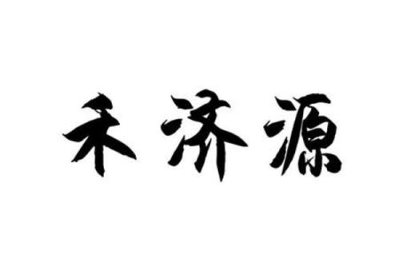 禾字起名，打造与众不同的公司形象