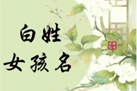 白姓男孩名字精选，独一无二的选择