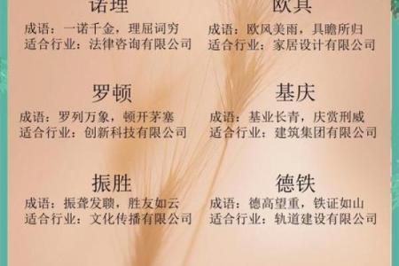 起个响亮的公司名字，成功的第一步