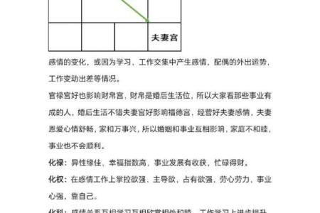如何利用免费紫微排盘，洞察未来人生关键节点