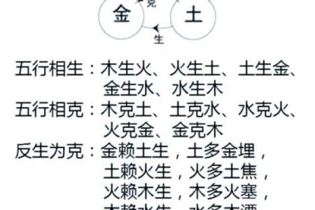 四柱命理术大全揭秘：如何通过八字分析人生运势