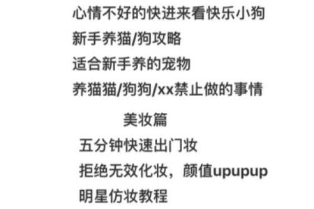 从新媒体有限公司起名全攻略