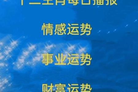 金猪财运亨通：揭秘六白命卦的富贵奥秘