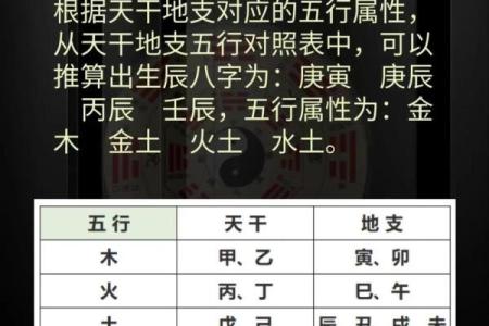 天干元男的五行属性解析