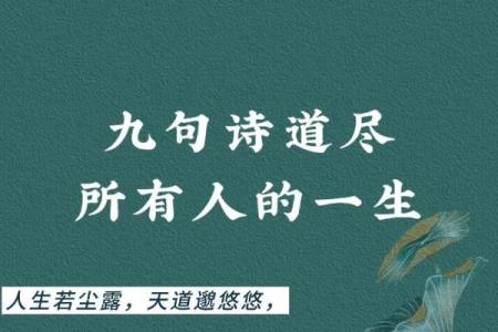 跨越千年文化传承：用诗文为公司命名的秘诀