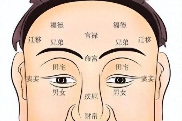 揭秘面相奥秘：凹凸鼻面相，财运、健康、性格一网打尽