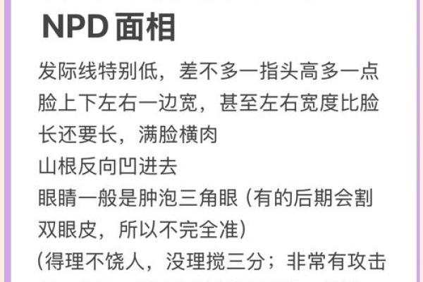 揭秘面相密码：一眼识人，揭秘你的命运之谜