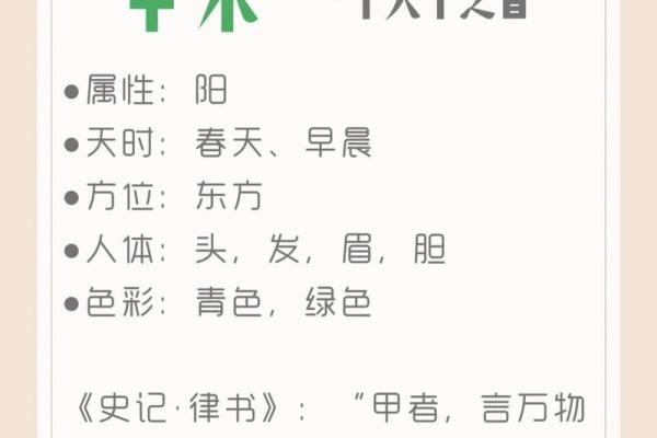 天干属木的人生运势如何？解锁五行秘密