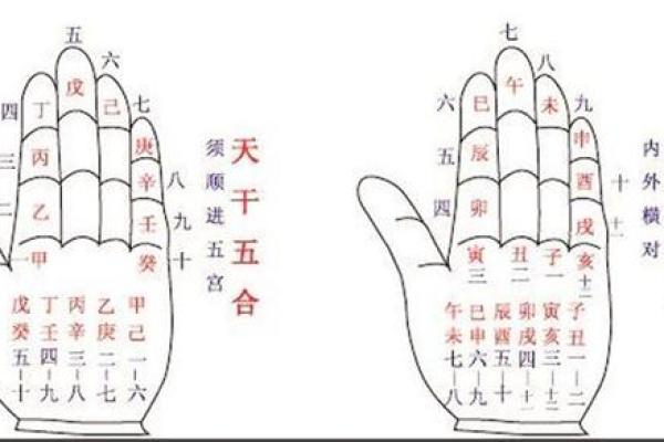 天干属木的人生运势如何？解锁五行秘密