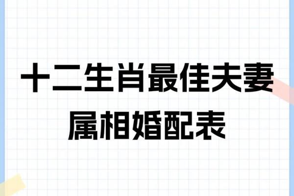 揭秘最佳姻缘属相搭配，你的另一半就在这里