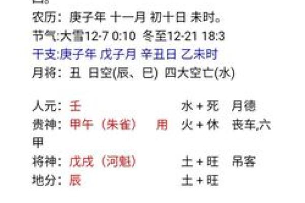 一键获取梅花排盘软件，精准预测未来趋势