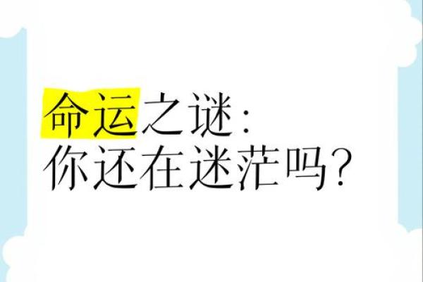 人穷命贵：逆袭人生，揭秘不凡命运之谜