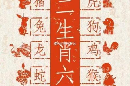 牛气冲天遇猪运，生肖搭配大揭秘