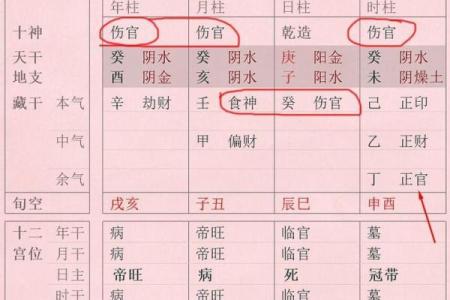与出生的命理特征，如何影响你的一生