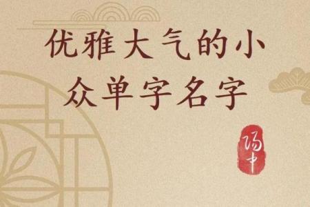 白姓男孩起名秘籍，送你一生好运的名字