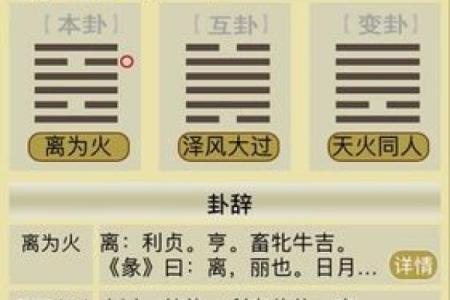 快速修复梅花易数排盘工具闪退问题，让你轻松使用