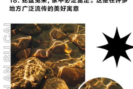 蛇兔相配，缘分还是凑巧？