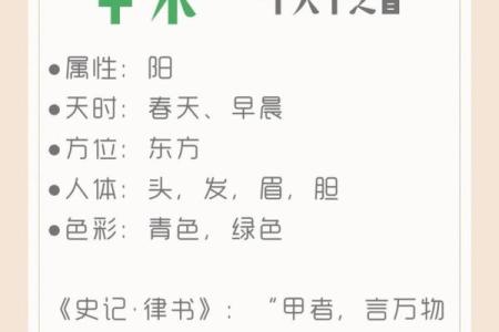 天干属木的人生运势如何？解锁五行秘密