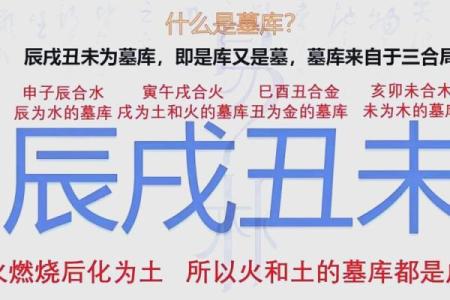 命中财官揭秘：揭秘你的财运密码