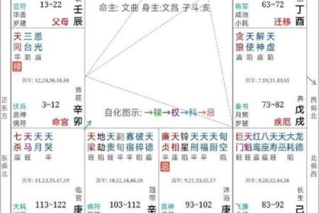 紫微命盘解析：子女运势的隐藏玄机与影响因素