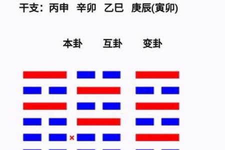 一键获取梅花排盘软件，精准预测未来趋势