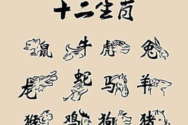 生肖命理的力量：你信吗？
