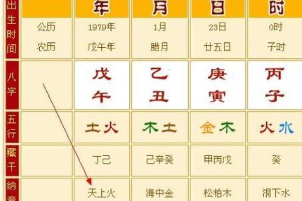 属马人的五行命理揭秘：揭秘你的五行属性与运势速来一探究竟