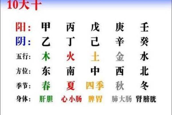 揭秘天干大运：掌握命运的风向标