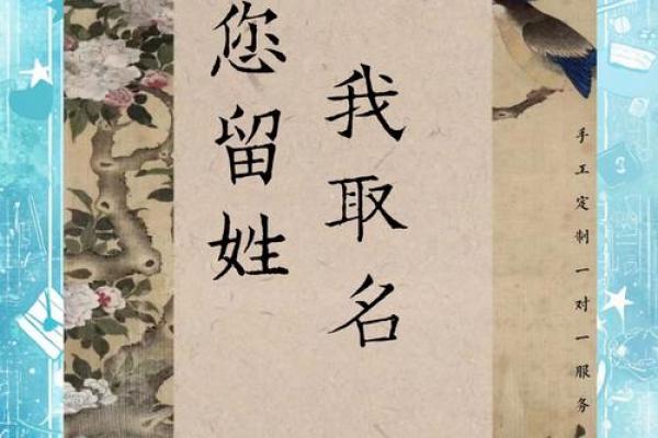 适合刘姓女宝宝的优雅名字，传递温柔气质
