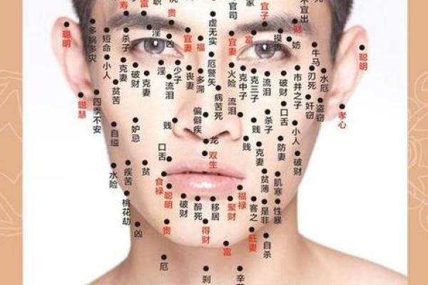 面相揭秘：面部特征透露私密部位健康秘密