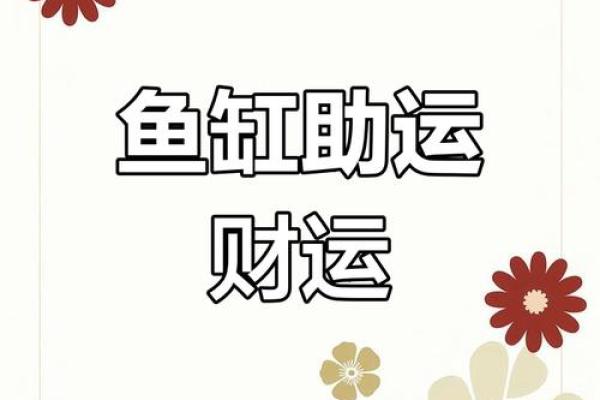 鱼缸风水：企业财运滚滚的秘密武器
