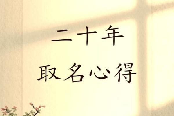 有字起名秘籍：让名字成为成功的起点