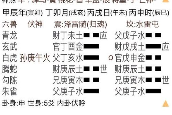 梅花易数排盘技巧揭秘，如何准确解读个人命运