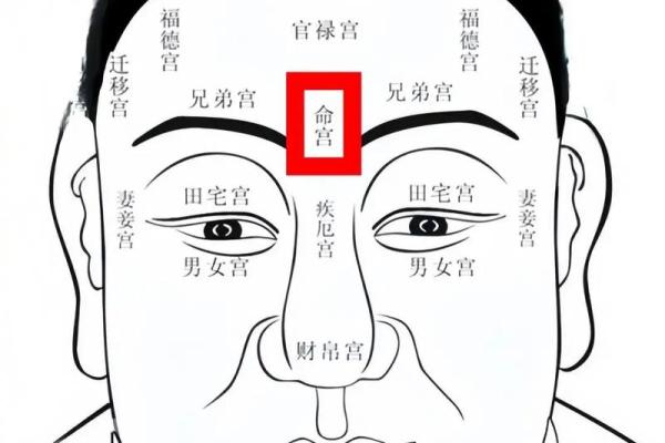 左眉上方痣，命运中的独特印记