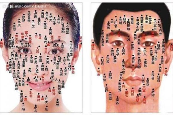 左眉上方痣，命运中的独特印记