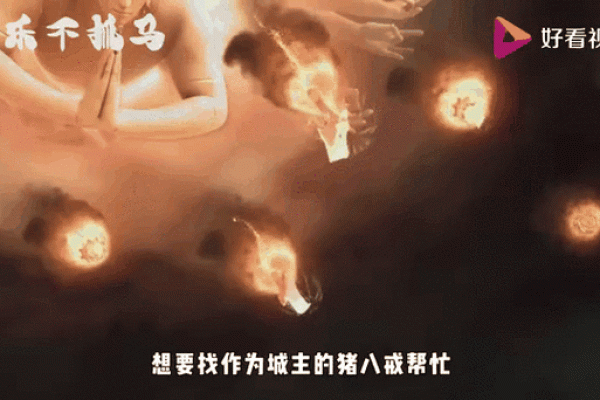 神龙降世，竟与猪共舞？