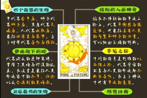 揭开天干时旺的神秘面纱，让命运之轮为你转动