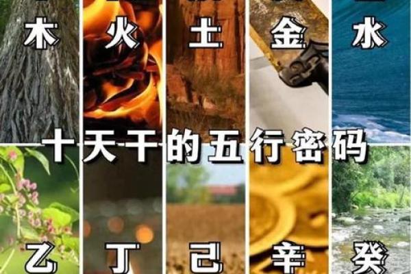 天干生死旺对命运的深远影响