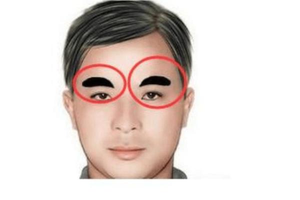 婴儿肥面相，财运亨通的秘密