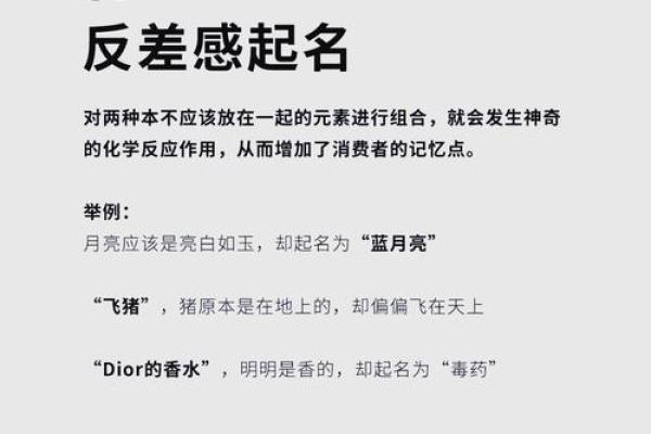 公司起名大全：打造品牌魅力的关键技巧