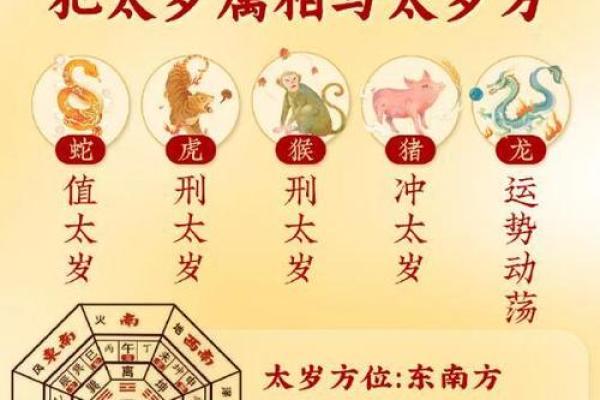 88龙男VS92猴女：天生绝配，命运红线牵