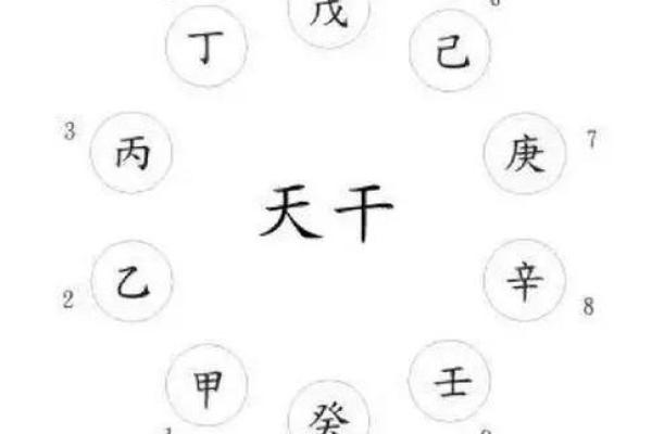揭秘戊命：究竟意味着什么？